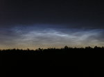 nlc 2__p7147975.jpg